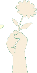 FSO flower emblem